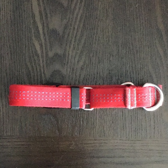 Red Canine Equipment Dog Collar - Picture 2 of 3